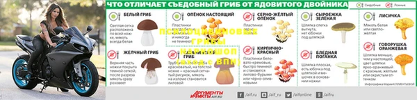 прущая мука Белокуриха