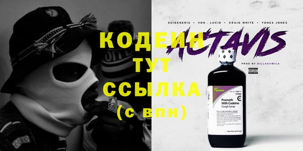 индика Сафоново