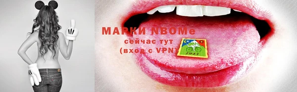 индика Сафоново